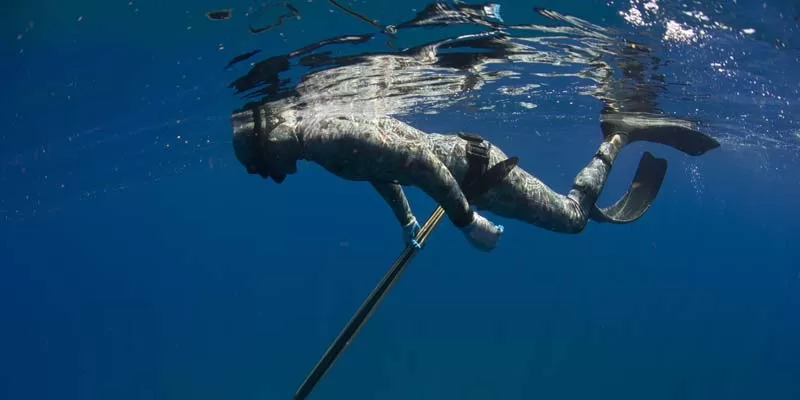 Non guided spearfishing charter in Los Barriles, Baja California, Mexico