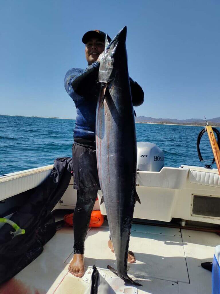 Blue water spearfishing in Los Barriles