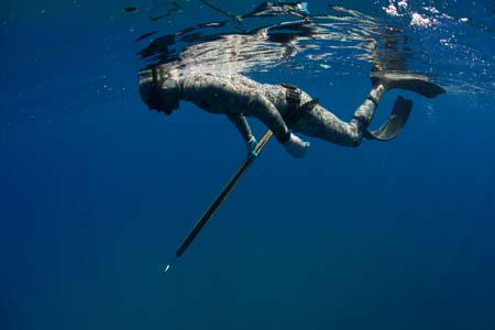 A spearo spearfishing underwater